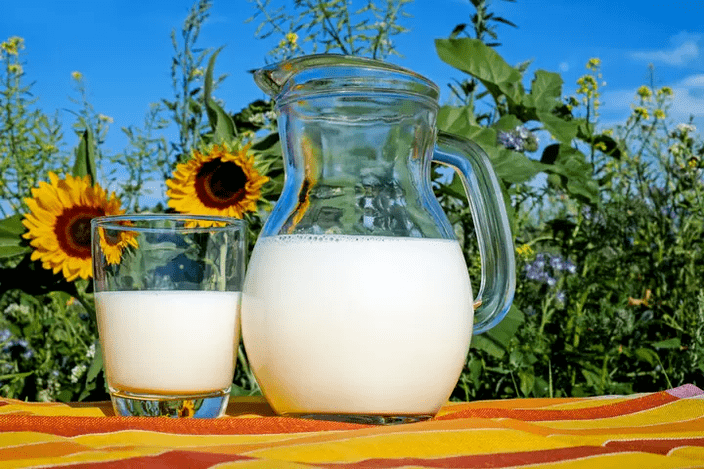 La leche es un alimento básico de la dieta Dukan